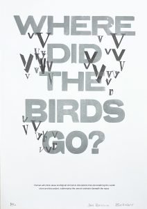 A letterpress print by Anna Aleksejeva & Bríain Hudson reading 'Where did the birds go?'