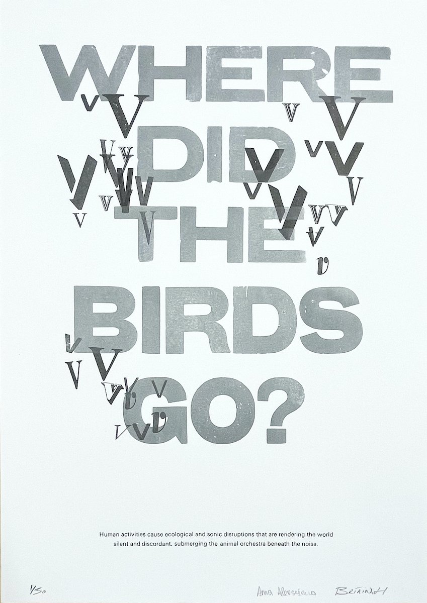 A letterpress print by Anna Aleksejeva & Bríain Hudson reading 'Where did the birds go?'
