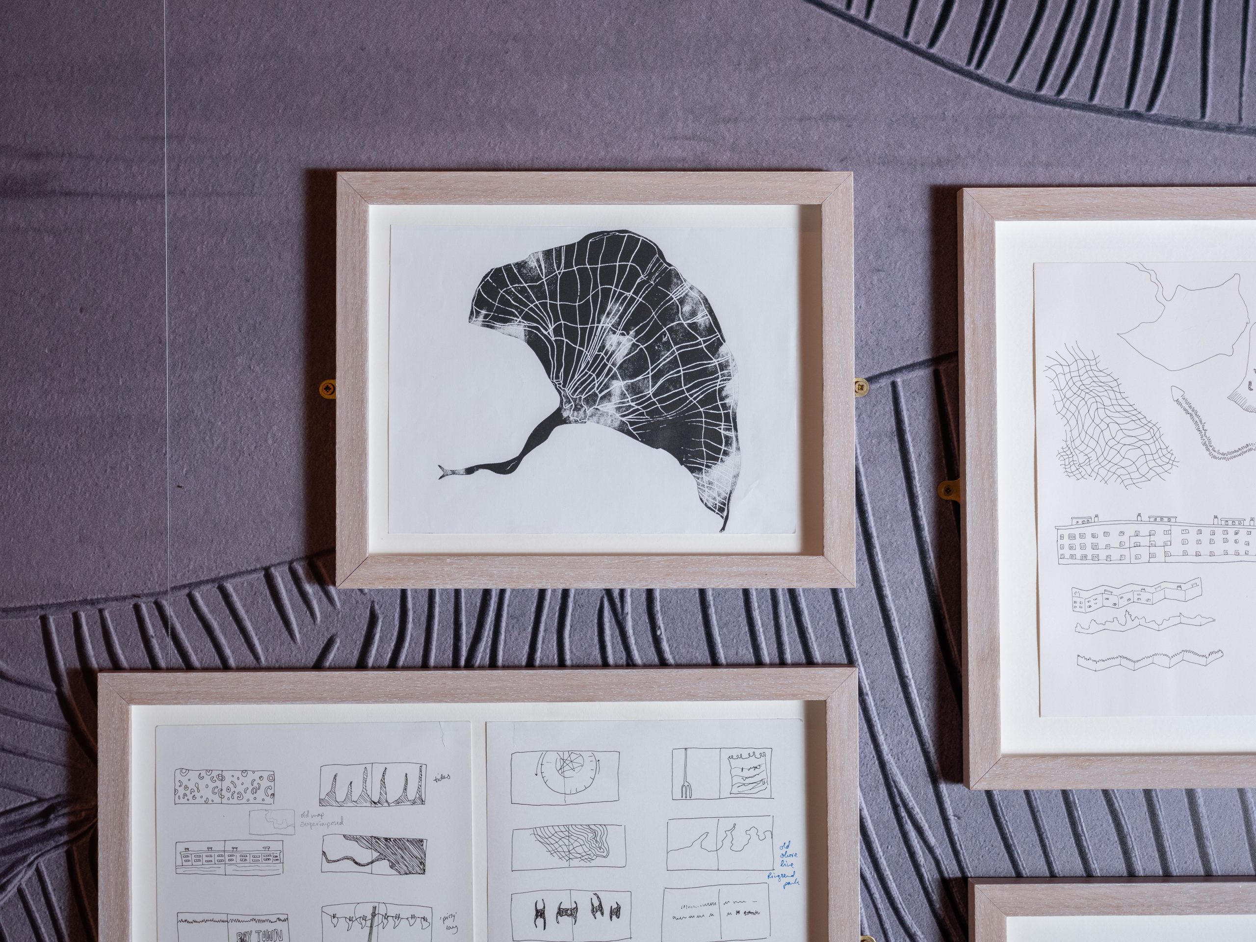 Framed artist proofs and sketches for the book Rinn Aun