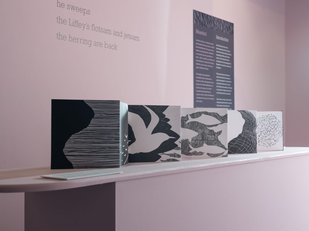 A view of the book Rinn Aun on display, showing several illustrations and the concertina format
